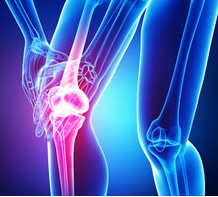 Knee hokuto